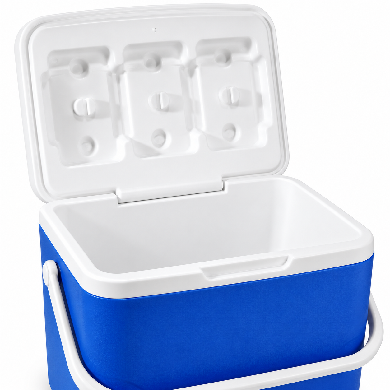 Portable Insulated Cooler Box