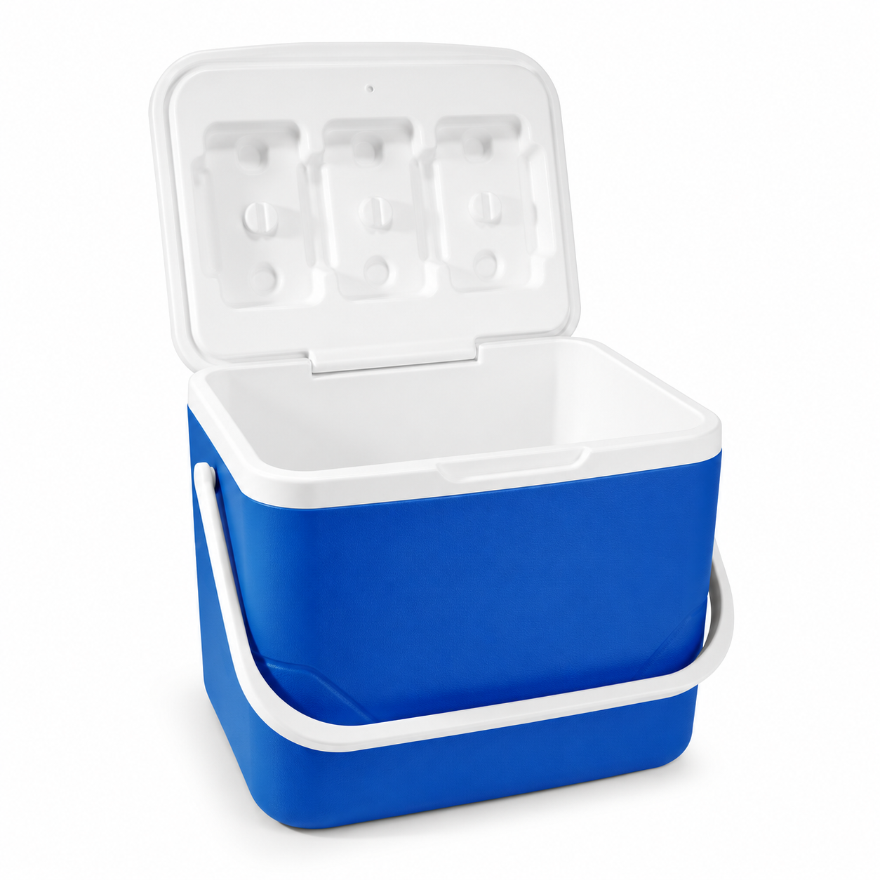 Portable Insulated Cooler Box